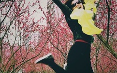 向日葵视频草莓视频丝瓜视频小猪视频